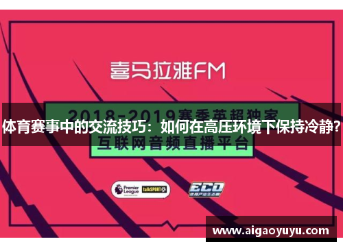 体育赛事中的交流技巧：如何在高压环境下保持冷静？